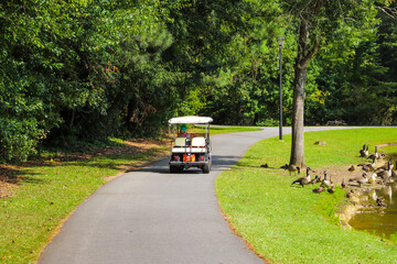 a woman driving a gold cart down a smooth footpath next to the lake with Canadian geese near the water surrounded by lush green trees at Huddleston Pond Park in Peachtree City, Georgia © Marcus Jones