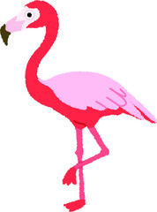 フラミンゴのイラスト