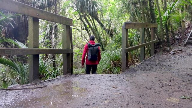 Man outdoors wearing backpack, red waterproof coat walking away from camera in a forest on Bridal Veil Falls track in New Zealand, Aotearoa