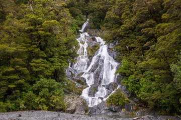 Foto op Plexiglas Fantail Falls, Haast Pass, New Zealand © Catherine