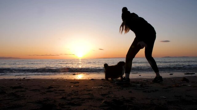 woman plays catch in a circle with her shepherd dob on the beach