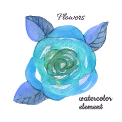 Watercolor Flower hand-painted bud Rose on a white Background. turquoise, blue and green colors. Isolated colorful Wildrose Flowers and three leafs element for wedding packaging and web.