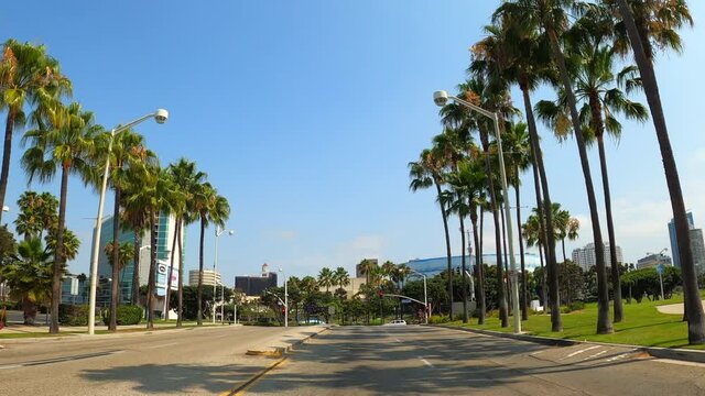 Driving through the scenic and iconic streets of Long Beach, California lined with palm trees on a sunny, clear day