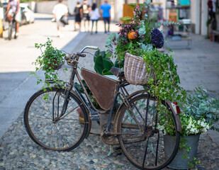 Fototapeta na wymiar flower arrangement in wicker basket on vintage bicycle