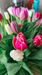 bouquet of tulips