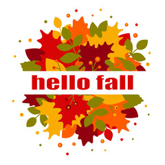 Fototapeta na wymiar Hello fall greeting card. Colorful autumn leaves and the text. Autumnal foliage with maple leaves, isolated on a white background. Fall season. Beautiful vector template for card, cover, flyer, poster