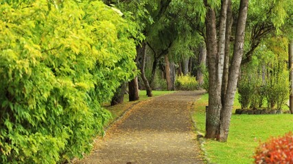 Bosque parque de Cuenca Ecuador