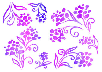 Watercolor artistic multicolor Set of floral Flower elements in the style of line art wedding theme on a white background for your design. Doodle and scribble. colorful autumn violet, purple and lilac