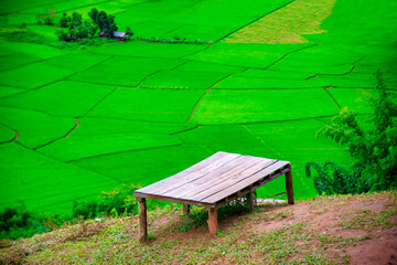 Rice fields on terraced of Mu Cang Chai, YenBai, Vietnam