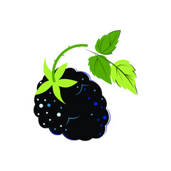 Blackberry. Ripe juicy black berry. Berries for jam and dessert. Flat style. Vector Illustration.