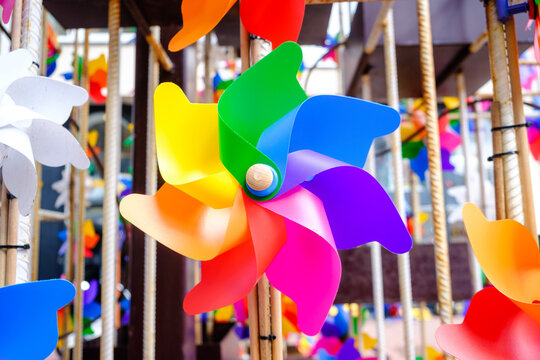 617 Best Knokke Images Stock Photos Vectors Adobe Stock