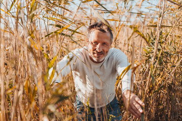Senior man searching in a reed bed peering through parted reeds