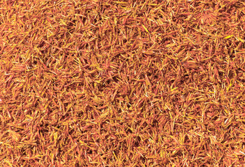 dried saffron flowers. medicinal plants and spices.