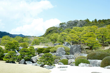 日本庭園
