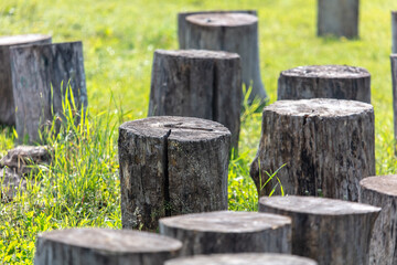 Wooden logs are like chairs