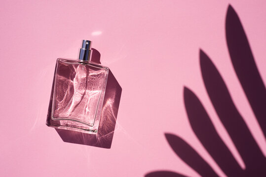 Transparent bottle of perfume on a pink background. Fragrance presentation with daylight. Trending concept in natural materials with palm leaves shadow. Women's and men's essence.