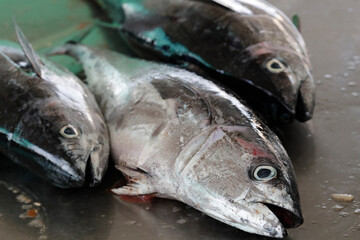 United Arab Emirates. Food market.