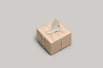 Small gift box wrapped in craft paper with dried eucalyptus leaves on solid gray background. Modern...