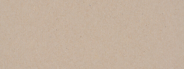 Fototapeta na wymiar brown recycle paper texture background panorama for design or write text