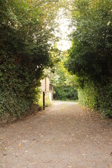 Long rural driveway with trees either side framing the picture in vertical format