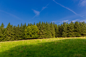 Fototapeta premium Spätsommerwanderung entlang des Rennsteigs bei schönstem Sonnenschein - Deutschland
