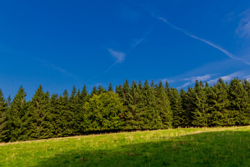Fototapeta premium Spätsommerwanderung entlang des Rennsteigs bei schönstem Sonnenschein - Deutschland