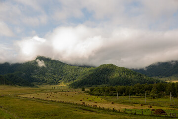 a mountain covered with clouds with stacks of hay rolled into cylinders on a mown field