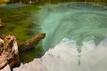 geyser lake in mountain altai russia with a silty bottom that changes color and trees and plants reflecting on the water surface
