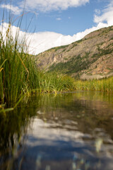 photograph of a gurgling stream, taken close to water and grass growing along the water against the background of mountains and sky with clouds, mountain altai russia
