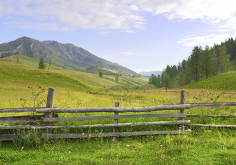 Fototapeta premium Pasture fence in the Altai Mountains