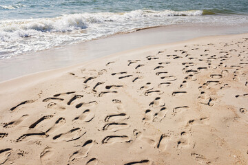 Footprints on a sandy beach