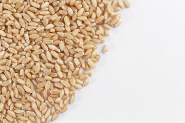 Buch of Wheat grains in white Background