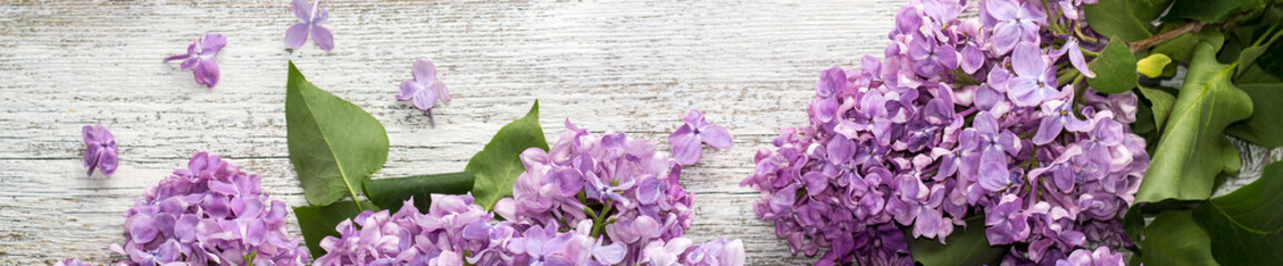 banner of blooming spring lilac flowers on a white wooden background