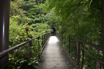 多摩川の吊り橋