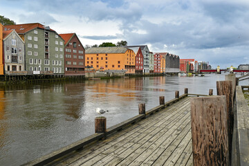 Seagull sitting in front of beautiful traditional norwegian buildings in Trondheim