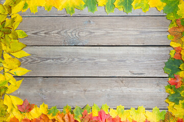 Fallen leaves on a wooden table. Yellow and red leaves on old table boards. Autumn leaves fallen on the table.