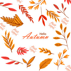 Line art autumn leaves pattern background elegant texture white background