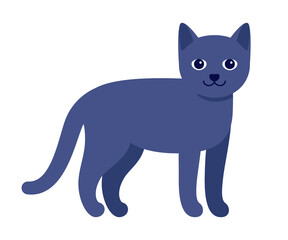 Happy dark blue gray cat, standing pet. House animal cat. Vector illustration