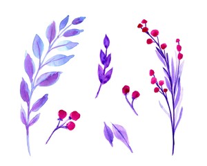 Christmas decoration set of Winter plants. Isolated, white background. Watercolor hand painted illustrations