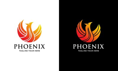 Phoenix logo design symbol vector template.