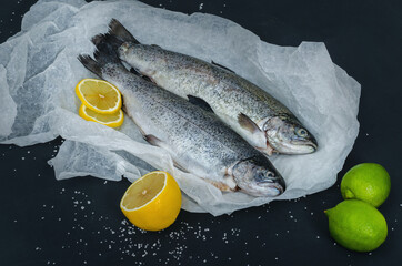 Two raw whole trouts on paper
