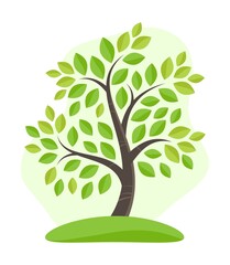 Vector flat illustration of green summer tree with leaves