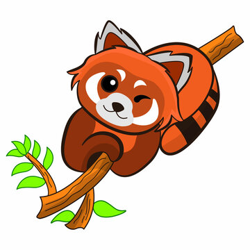 Illustration vector graphic of the cute red panda. suitable for stickers, drawing books, children's books, cartoon character animals, etc.
