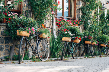 Fototapeta na wymiar Bicycles in the street with flowers. Horizontal shot of a facade with bicycles