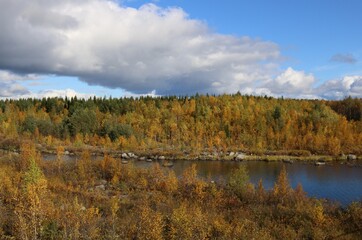 Fototapeta na wymiar Clouds on the autumn forest