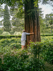 Abbracciare alberi, silvoterapia e serenità interiore e benessere nella natura