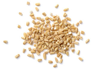 uncooked steel cut oats isolated on the white background, top view