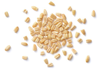 uncooked steel cut oats isolated on the white background, top view