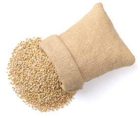 raw steel cut oats in the sack, isolated on the white background, top view