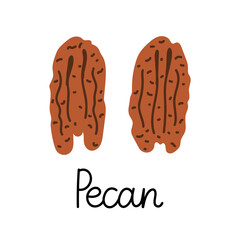 Flat hand-drawn illustration of two pecan nuts with monoline inscription. Colorful vector drawing isolated on white background. 